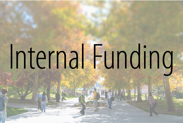 Internal Funding